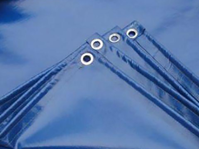 β